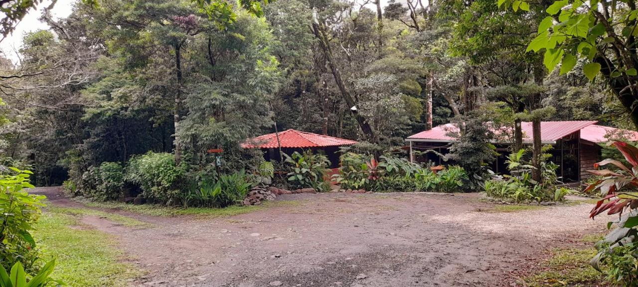 Cabañas La Montaña Chalet Villa Monteverde Exterior foto