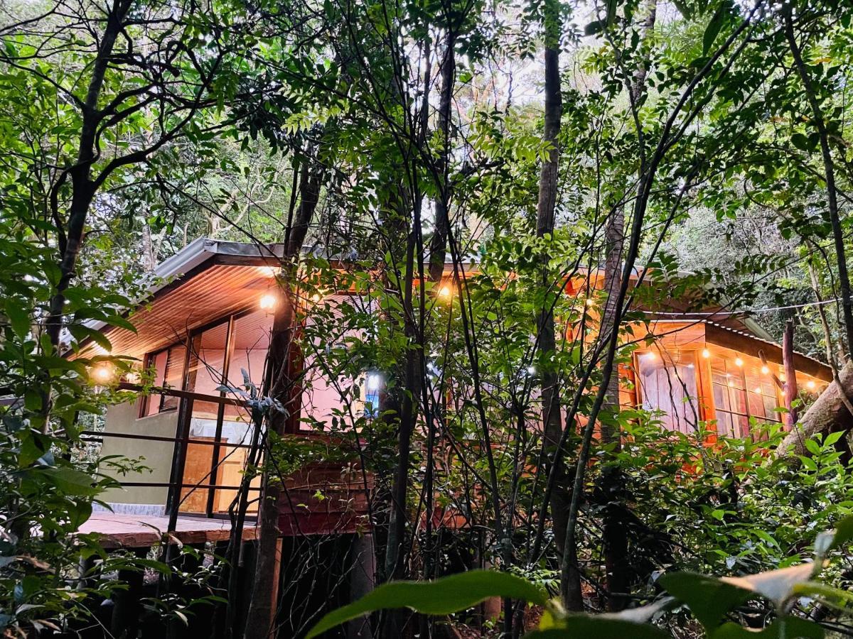 Cabañas La Montaña Chalet Villa Monteverde Exterior foto