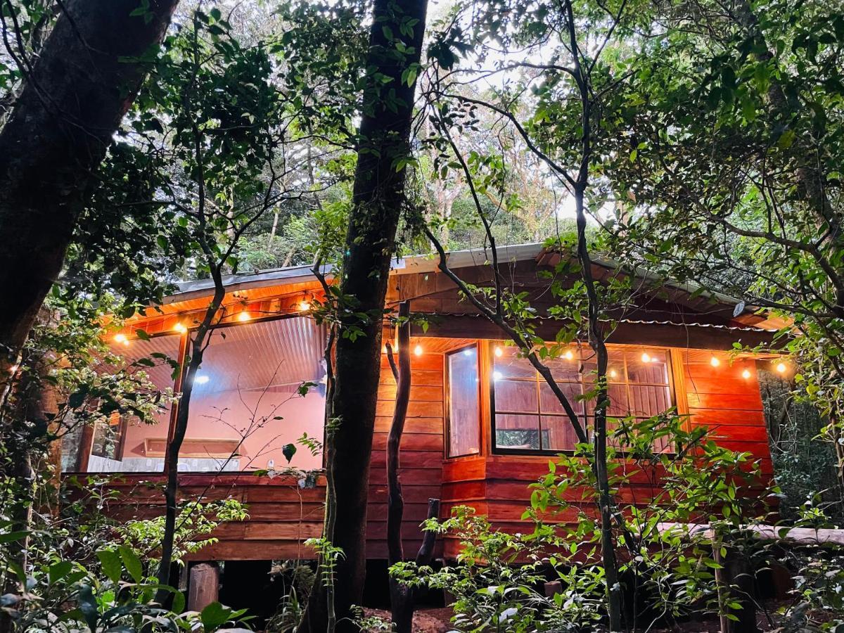 Cabañas La Montaña Chalet Villa Monteverde Exterior foto