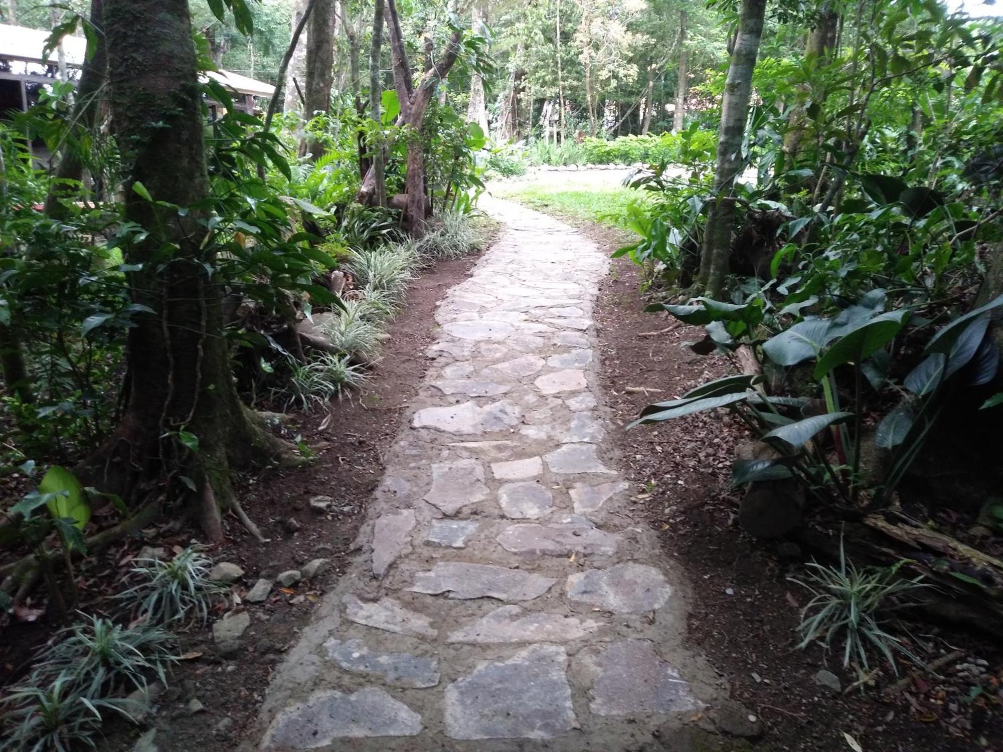 Cabañas La Montaña Chalet Villa Monteverde Exterior foto